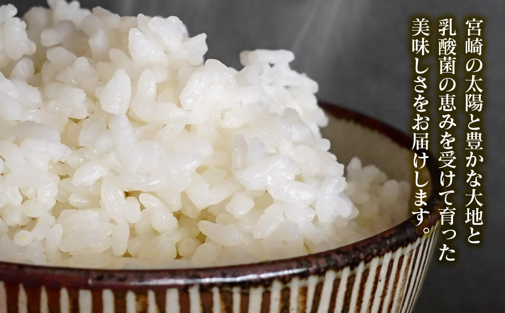 【令和7年産新米・先行予約】ヒノヒカリ 5kg ※10月中旬以降順次発送予定 精米済み ＜1.3-23＞ 新米 ヒノヒカリ お米 精米 5キロ 米 ライス 宮崎県 西都市