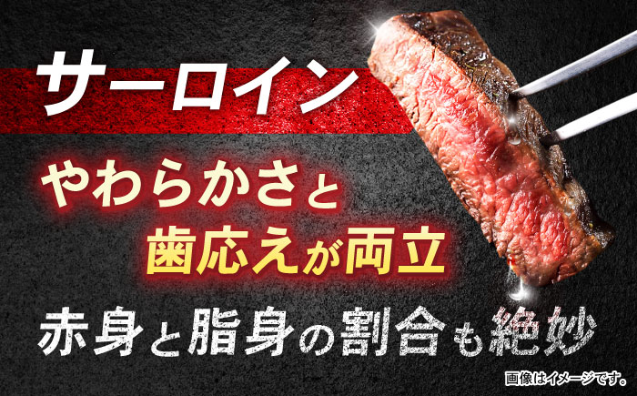 長崎和牛 サーロインステーキ 約250g×2枚 / 牛肉 和牛 国産牛 肉 ステーキ サーロイン / 諫早市 / 肉の牛長 諫早店 [AHEM001]