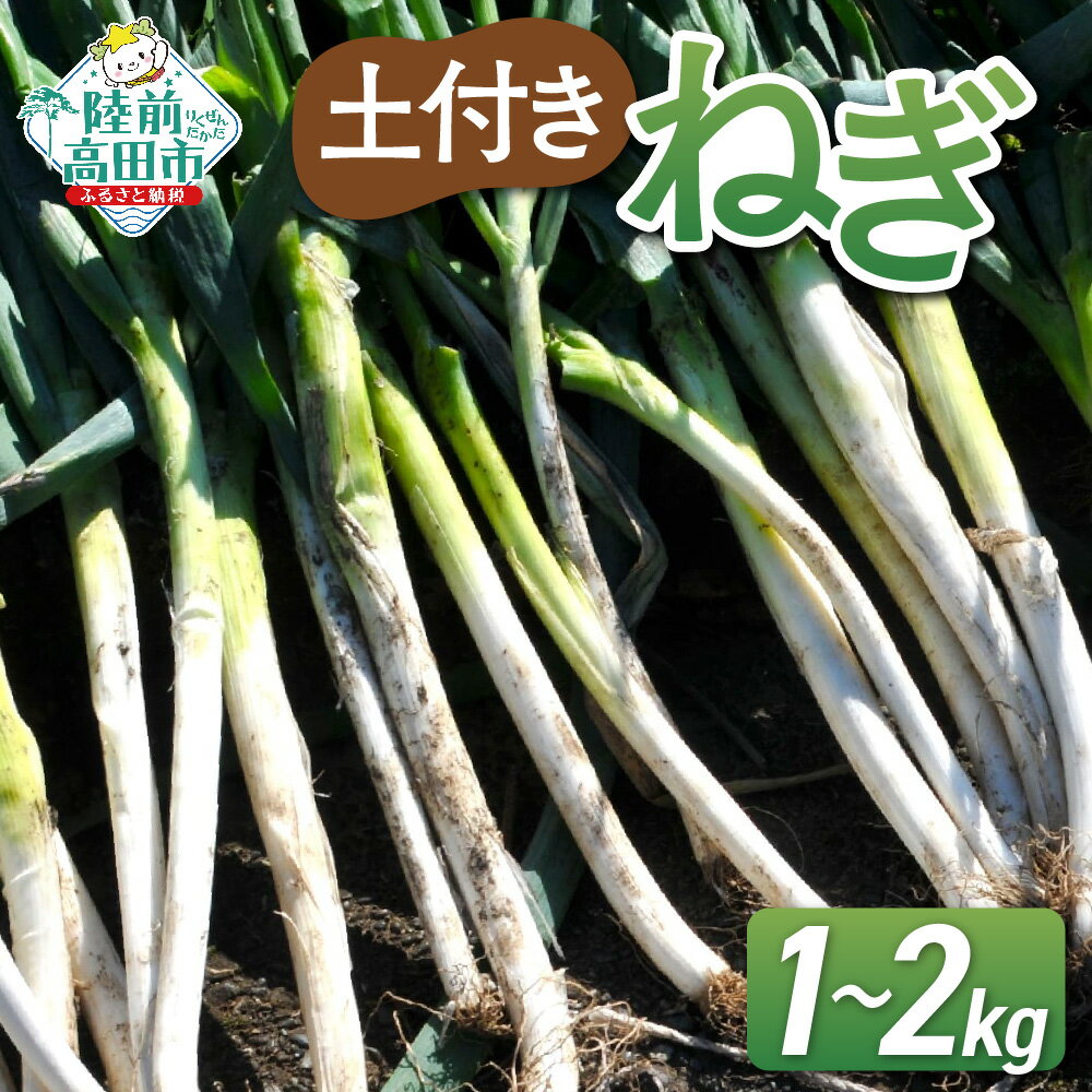 【ふるさと納税】先行予約 長ねぎ 土付き 内容量が選べる 1kg 2kg [ ねぎ ネギ 葱 長ネギ 白ねぎ 白ネギ 冬ねぎ 冬ネギ 根深ねぎ 泥付き 野菜 料理 調理 薬味 おためし 人気 おすすめ 野菜ソムリエ 産地直送 国産 岩手県 陸前高田市 Farm Koganeyama ]