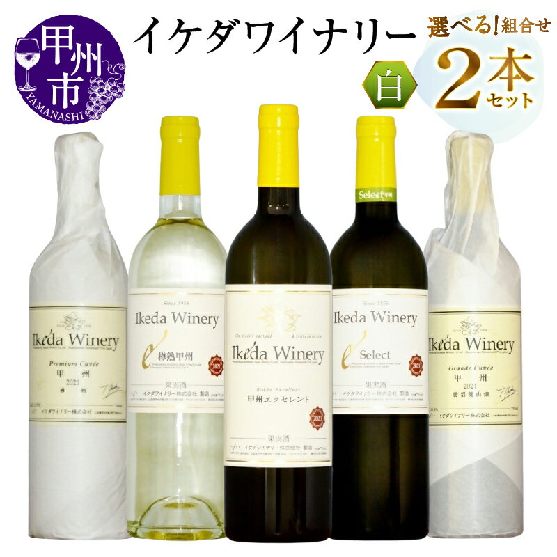 【ふるさと納税】 ワイン 白 選べる お届け内容 組合せ 750ml 2本 セット イケダワイナリー プレミアム・キュヴェ甲州 樽熟甲州 甲州エクセレント セレクト白 グラン・キュヴェ甲州 飲み比べ 白ワイン 酒 お酒 アルコール 母の日 父の日 記念日 ギフト 山梨県 甲州市 （MG）
