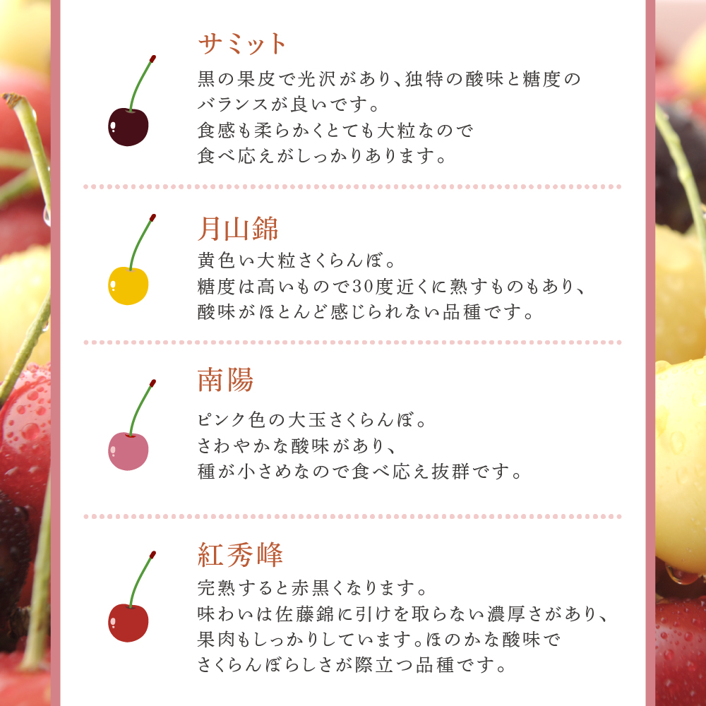 【 先行受付 】さくらんぼ 厳選 さくらんぼ スペシャル 2色 