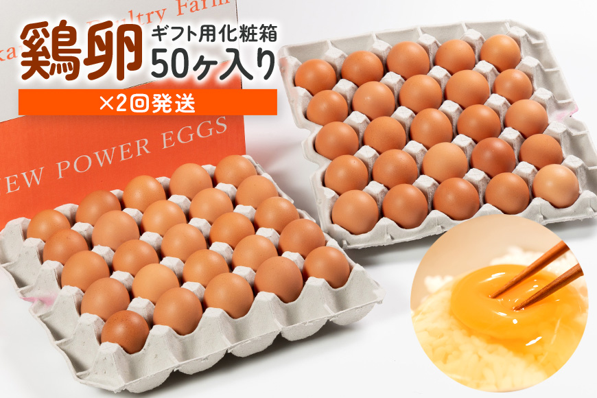 【定期便】鶏卵 （ギフト用化粧箱50ヶ（45＋補償5）入り ×2回発送） 15-D