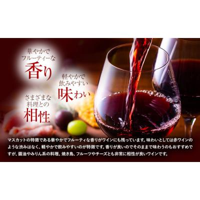 ふるさと納税 矢掛町 酒 日本ワイン 750ml 2本 矢掛放送 岡山県矢掛町《30日以内に出荷予定(土日祝除く)》 |  | 03
