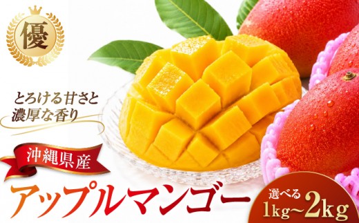 
                  ＜選べる容量＞アップルマンゴー（1~2kg）優 I マンゴー アーウィン 嘉数マンゴー 1kg 2kg 化粧箱 贈答 フルーツ 果物 沖縄県 南城市 ふるさと納税
                