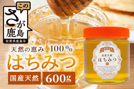 鹿島市産 天然の恵み 100% はちみつ 600g 化粧箱入 B-806 ハチミツ 蜂蜜 ハニー 天然はちみつ 天然蜂蜜 国産