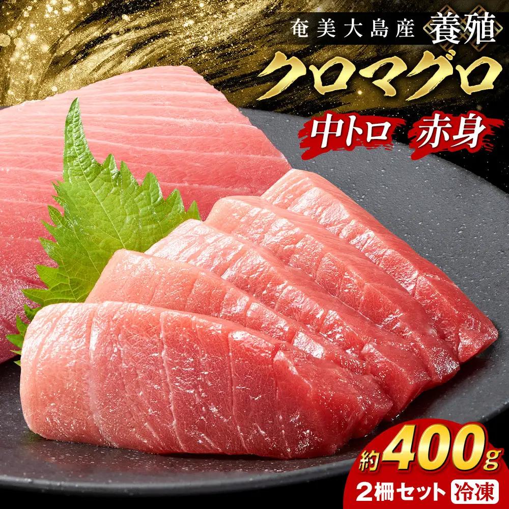 奄美大島産養殖クロマグロ 2柵セット 400g以上 中トロ 赤身 冷凍 | 黒マグロ