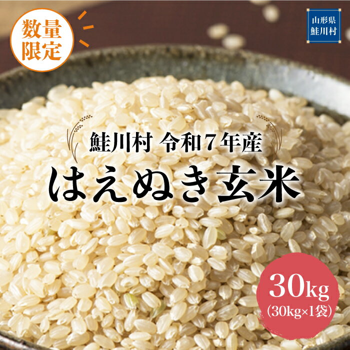 【ふるさと納税】数量限定！＜令和7年産米＞ 鮭川村 はえぬき 【玄米】30kg （30kg×1袋）