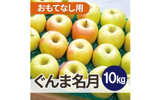 ＜26年3月より順次発送＞平均糖度13度以上! ぐんま名月 約10kg おもてなし用【1610326】