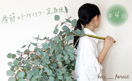 【定期便4回】 季節の草木花 スワッグ リース お花 HO