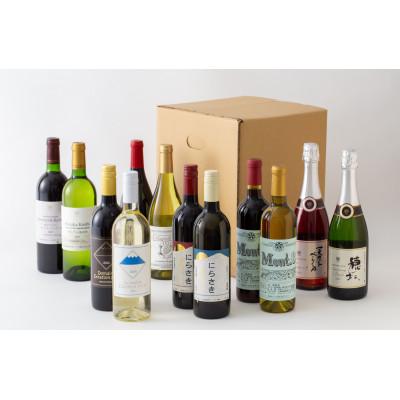 ふるさと納税 韮崎市 韮崎産 赤白スパークリング12本 飲み比べセット　750ml×11本　720ml×1本 |  | 02