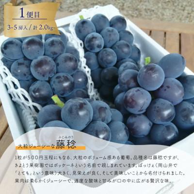 ふるさと納税 津山市 【発送月固定定期便】【2026年先行予約】藤稔とシャインマスカット各2kg入の定期便(岡山産)全2回 |  | 01