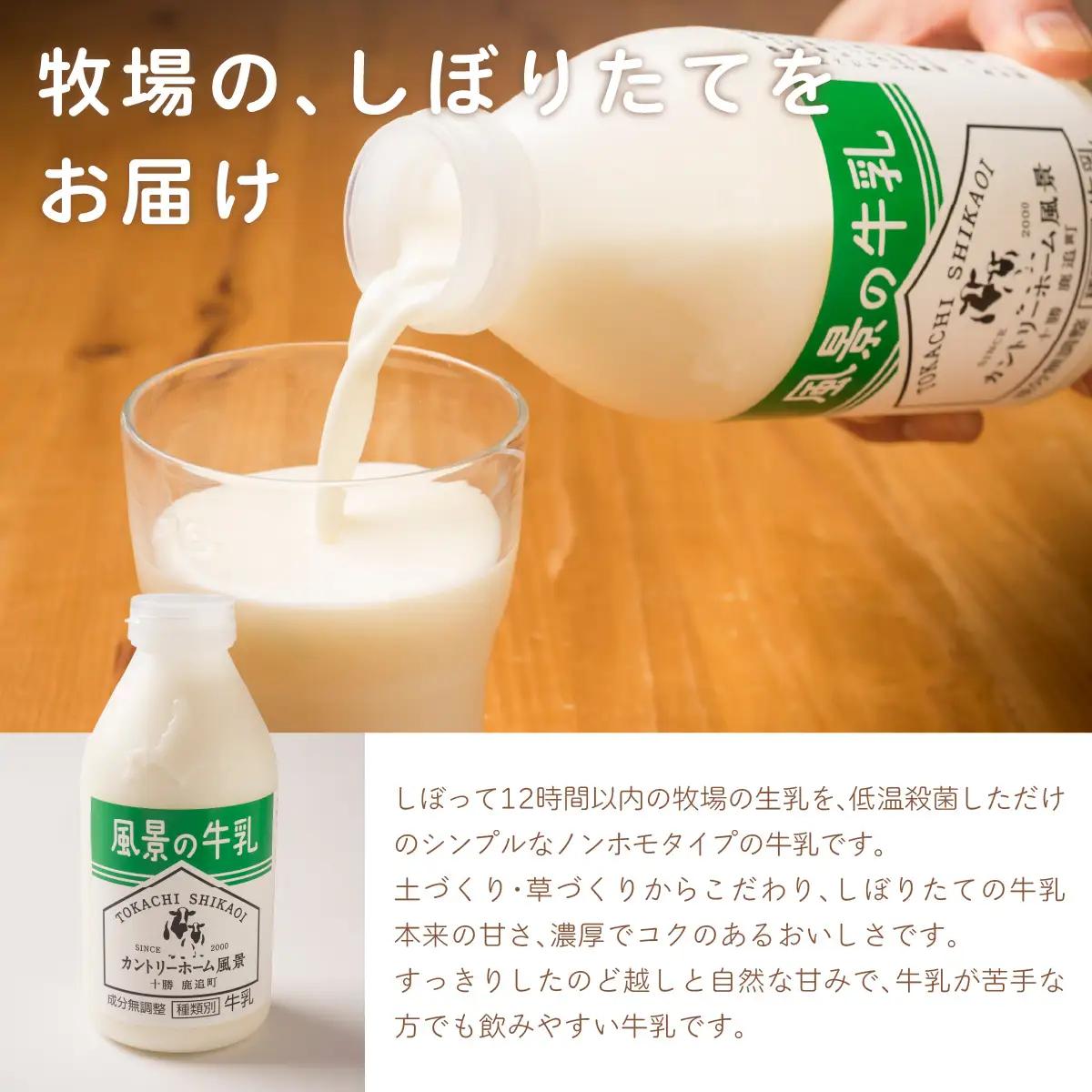 風景の牛乳 500ml ×8 SKB079