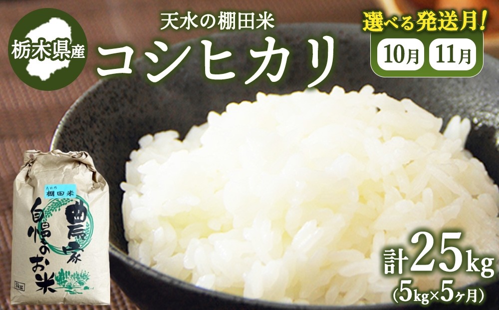 
                  【発送月が選べる】【5か月定期便】天水の棚田米 コシヒカリ 5kg 栃木県
                