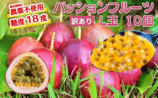 
                  【訳あり】数量限定 糖度18度 パッションフルーツ果実 10個入り 国産 くだもの 果実 果肉 ビタミンC カリウム 食物繊維 栄養豊富 栄養満点 甘味 酸味 甘い 旬のフルーツ トロピカルフルーツ 南国フルーツ
                