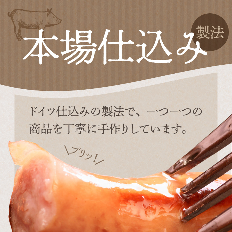 【定期便6回お届け】手作りハム工房シュヴァインハイムの満喫セット H003-039