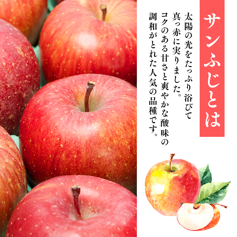 【1~2月発送 】 贈答用サンふじ約5kg（糖度証明書付き）  【青森県 平川市 那由多のりんご園】