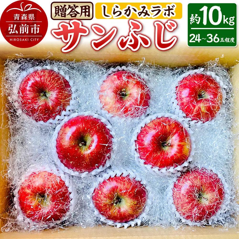 【26年12月中旬～発送】りんご サンふじ【贈答用】約10kg 先行受付 しらかみラボ 青森県 弘前市 果物 フルーツ 林檎 リンゴ くだもの ギフト 贈り物