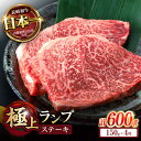 【ふるさと納税】ランプ ステーキ 600g (150g×4枚) / ステーキ 長崎和牛 A4～A5ランク 希少部位 / 諫早市 / 野中精肉店[AHCW035]