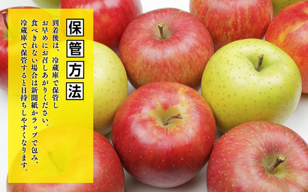 ３月発送　特選　甚八りんごサンふじ5kg　【青森県 平川市 マルジンサンアップル】[hi-0058-053-3]