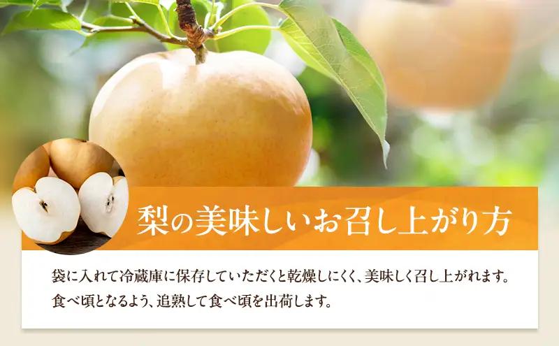 梨 フルーツ あたご梨 岡山県産 梨【3～9玉 約4kg】【先行予約】