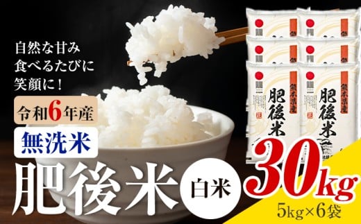 熊本県産 肥後米 無洗米 白米 30kg 1袋5kg 米 お米 令和6年産 九州産 熊本県産 送料無料【30日以内に出荷予定（土日祝除く）】 無洗米 白米 米