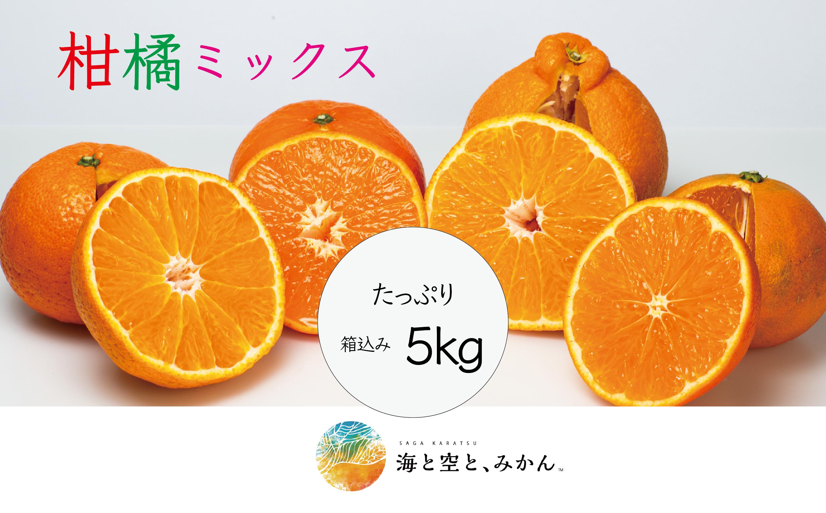 
            大場農園「柑橘MIXセット」箱込み 5.0㎏
          