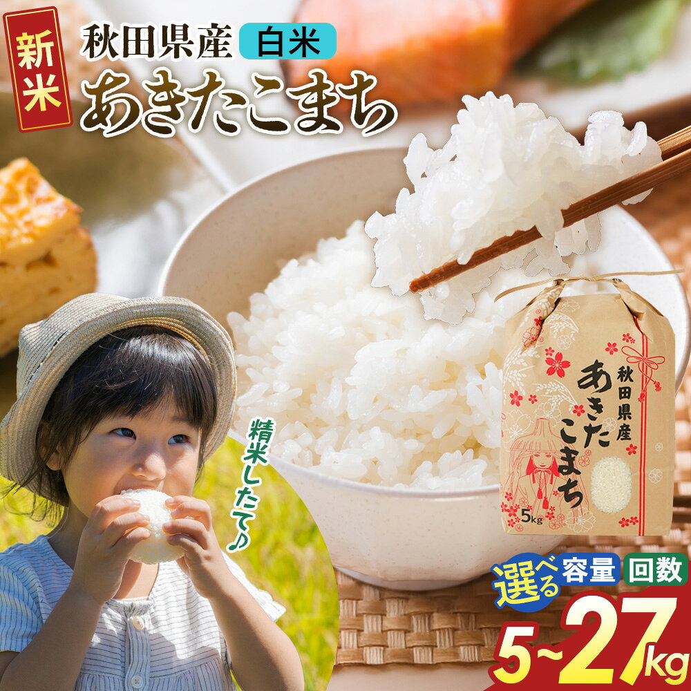 【ふるさと納税】《新米》 【白米】秋田県産 あきたこまち【選べる容量・お届け回数】定期便 5kg／10kg／20kg／27kg 令和8年産 こまちライン 秋田県 大仙市産 [令和8年産 新米 秋田 お米 米どころ あきたこまち こまちライン]