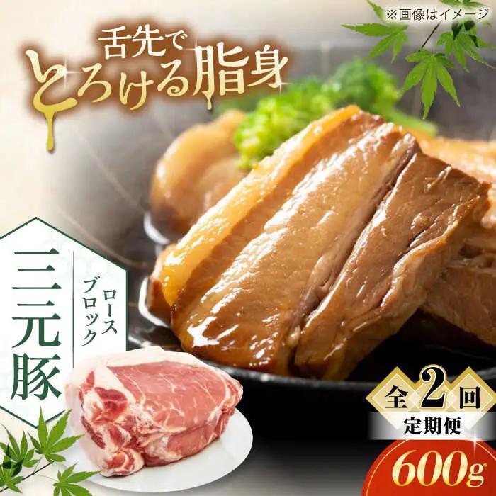 【全2回定期便】 ロース ブロック 600g 豚肉 ブロック AJAP094