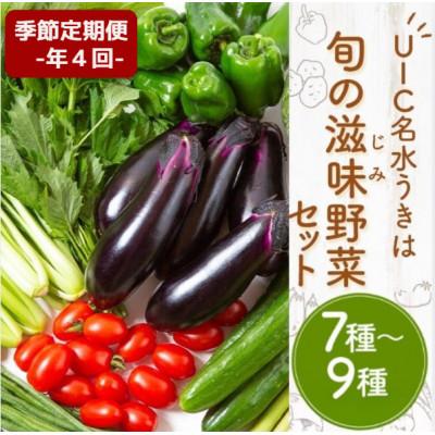 ふるさと納税 うきは市 【3ヵ月毎定期便】名水うきは 旬の滋味(じみ)野菜セット〈季節ごとにお届け〉全4回