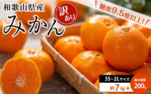
                  和歌山県産 糖度9.5度 以上 訳あり みかん 7kg 傷み補償+200g 3S ～ 2Ｌサイズ混合［MG58］
                