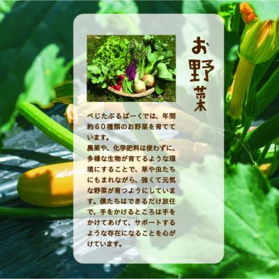 ふるさと納税 能勢町 【発送月固定定期便】『大阪能勢産』べじたぶるぱーくの新鮮野菜詰合せ　Mセット7〜8種類　偶数月全6回 |  | 02
