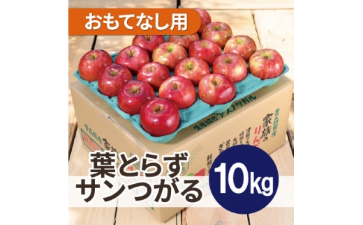 ＜26年9月から順次発送＞平均糖度12度以上! 葉とらずサンつがる 約10kg おもてなし用 りんご【1734947】