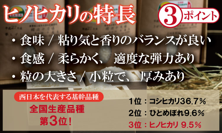 【新米予約】R7年度産（令和７年）【選べる内容量】特別栽培米 「ヒノヒカリ 」10kg（5kg×2袋）田中農場 精米 白米 10キロ 単位 もちもち 食感 冷めても 美味しい お一人様 ご家族用 ラン