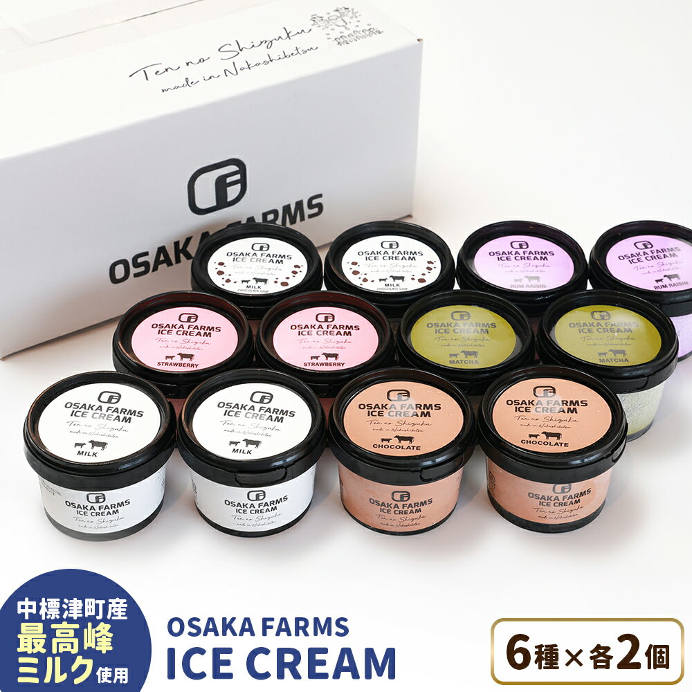 【ふるさと納税】OSAKA FARMS ICE CREAM 詰め合わせ12個入りセット（ミルク・チョコ・イチゴ・抹茶・チョコチップ・ラムレーズン）6種×各2個 | ふるさと納税 北海道 中標津 アイス 天のしずく セット スイーツ お取り寄せ マイページ OSAKA FARMS 中標津町【51014】