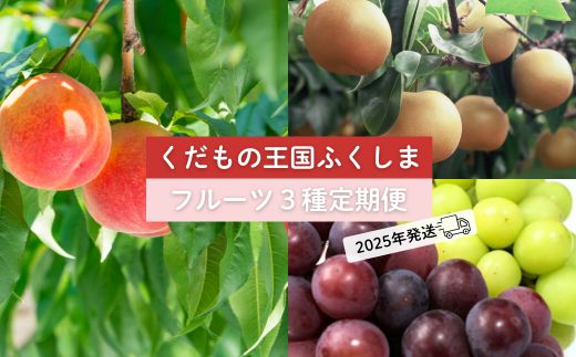 No.2032  【2025年発送分】フルーツ３種定期便　（桃約３kg、梨約３kg、ぶどう計2房）
