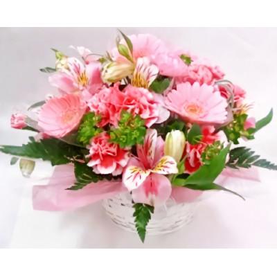 ふるさと納税 藤枝市 【母の日に!】カーネーションアレンジメント　ピンク系 |  | 01