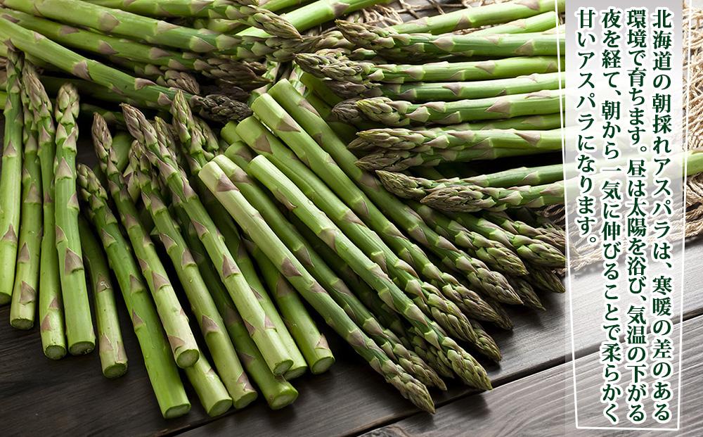 【2026年先行予約】朝採りアスパラ Lサイズ 1kg（500g×2）鮮度保持パック入り 旭川近郊産 露地物(5月中旬発送開始予定) 【 アスパラ アスパラガス 朝採り とれたて 野菜 旬 小分け 保