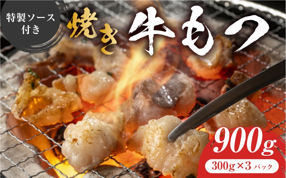 
            焼きもつ 900g ( 300g×3パック )
          