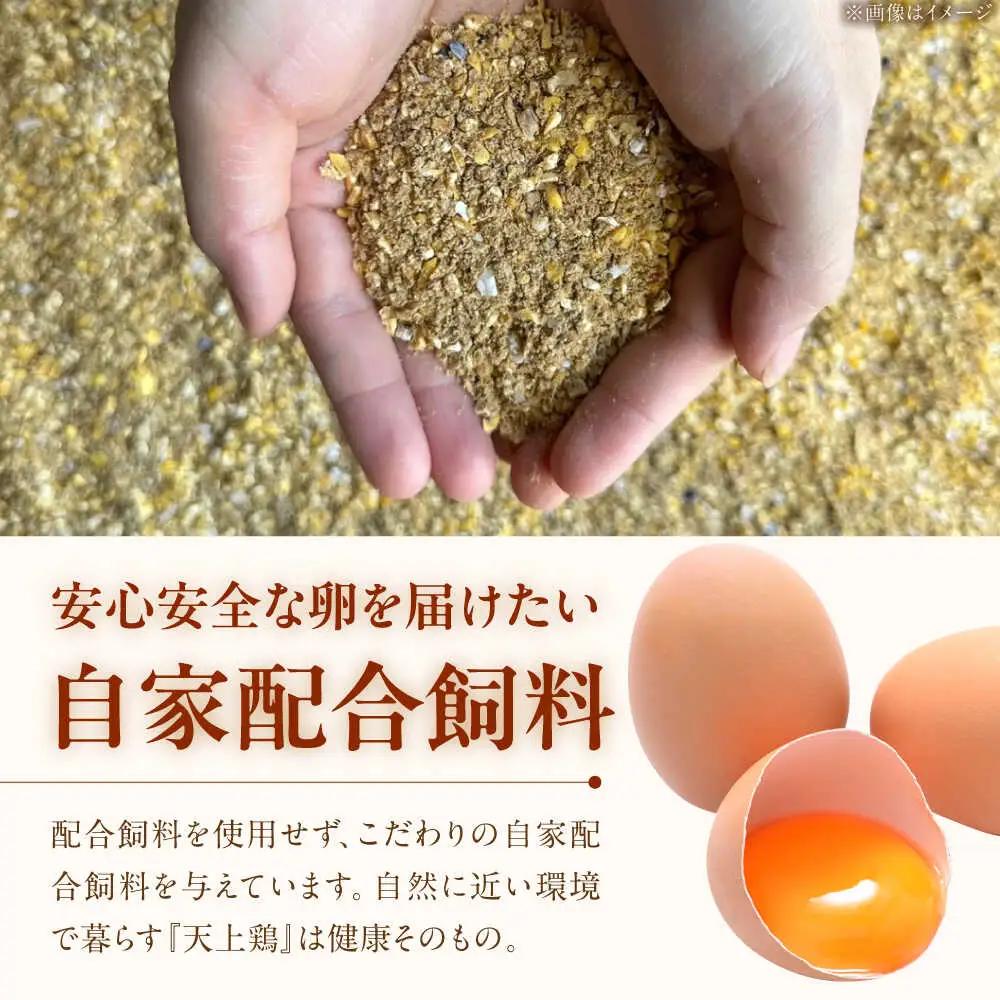 【 全3回 定期便 】  平飼い 卵  「 天上卵 」 40個 セット 糸島市 / 糸島ファームハウスUOVO [AKH006]