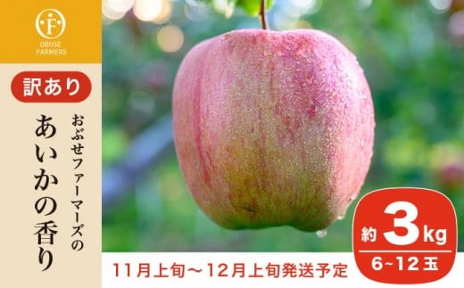 
                  【訳あり】先行受付 あいかの香り 約3kg 6～12玉 ［おぶせファーマーズ］ フルーツ 果物 林檎 リンゴ 長野県産 信州産 加工 傷 キズ 不揃い 規格外 家庭用  令和8年産 【2026年11月上旬～12月上旬発送】  ［FH-57］
                