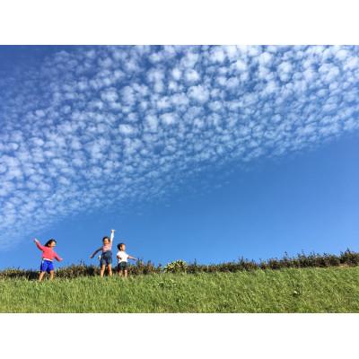 ふるさと納税 御前崎市 マイボトル茶(3袋)と普段飲み緑茶(2袋)セット　計5袋 |  | 03