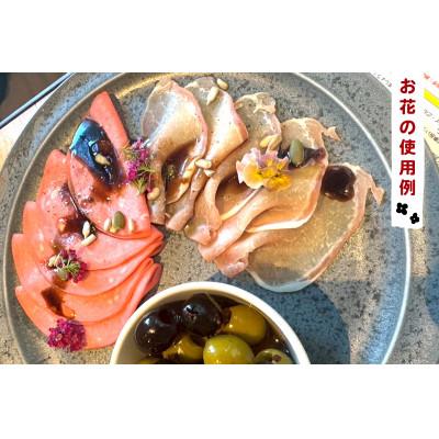 ふるさと納税 伊勢原市 【毎月定期便】加藤さんちのエディブルフラワー5パック (1パックあたり季節のお花15〜30輪)全6回 |  | 01