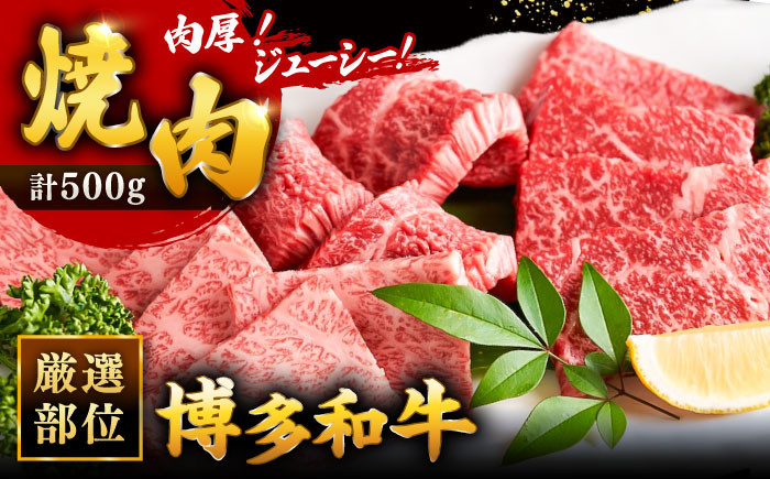 
            博多和牛 焼肉 用 500g ▼母の日 国産牛 博多 黒毛和牛 牛肉 焼き肉 やきにく BBQ バーベキュー 高品質 お祝い 御祝 お礼 桂川町/株式会社 MEAT PLUS[ADAQ009]
          