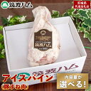 【ふるさと納税】《 選べる 内容量 》筑波ハム アイスバイン 700g 1400g 豚すね肉 茨城県産 『 常陸の輝き 』 ブランド豚 銘柄豚 ( 茨城県共通返礼品 ) 豚 肉 ドイツ 料理 冷凍 本場 とろとろ すね肉 スネ