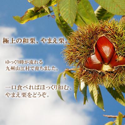 ふるさと納税 山江村 【先行受付】日本有数の栗の里山江村のやまえ栗生栗　2kg |  | 01