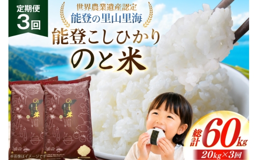 米 令和7年 のと米 能登こしひかり 20kg 3回 定期便 [能登わかば農業協同組合 石川県 中能登町 nk17bth130015] こしひかり コシヒカリ 定期 3ヶ月 20キロ お米 ブランド米 国産 国産米 能登米 ごはん ご飯 白飯 飯  白米 こめ コメ おこめ okome kome 令和7年産 ふるさと納税