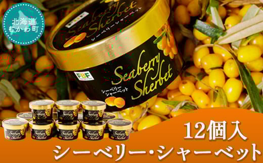 
シーベリー・シャーベット(12個入) 【 シーベリー サジー シャーベット スイーツ デザート 氷菓 】 MKWH001
