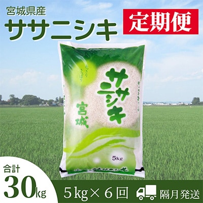 2023年7月発送開始『定期便』宮城県登米市産ササニシキ精米5kg(隔月)　全6回【5146841】
