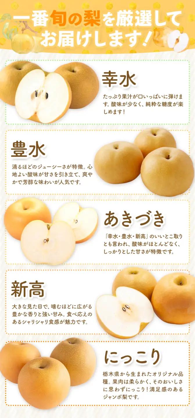 先行予約 旬の梨 約4kg 幸水 豊水 あきづき 新高 にっこり《8月上旬-10月中旬頃出荷予定》 栃木県 野木町 なし ナシ くだもの 果物 青果物 フルーツ