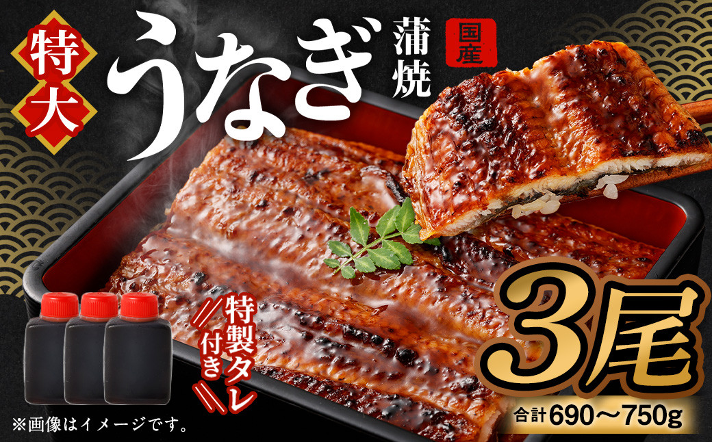 
                  【特大】 国産 うなぎ 蒲焼 3尾 （690～750g）と 特製タレ 3個 セット ｜ 鰻 うなぎ ウナギ 蒲焼 蒲焼き かば焼き うなぎの蒲焼 魚 国産 国産うなぎ うなぎ蒲焼 セイロ蒸し せいろ蒸し タレ付  特性ダレ 魚 さかな 海鮮 魚介 ギフト プレゼント 誕生日 土用の丑 土用の丑の日 お中元  御中元 贈り物 贈答 お礼 お祝い 冷凍 大阪府 阪南市 
                